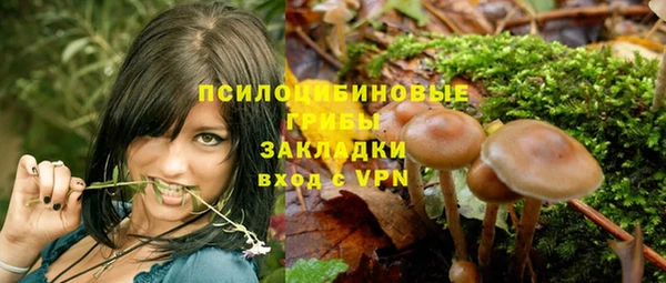 ALPHA PVP Баксан